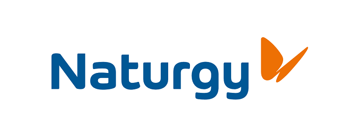 logo naturgy