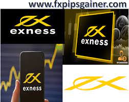 Evaluación general de Exness