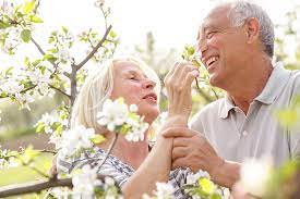 Oriental Elegances: A SakuraDate Testimonial